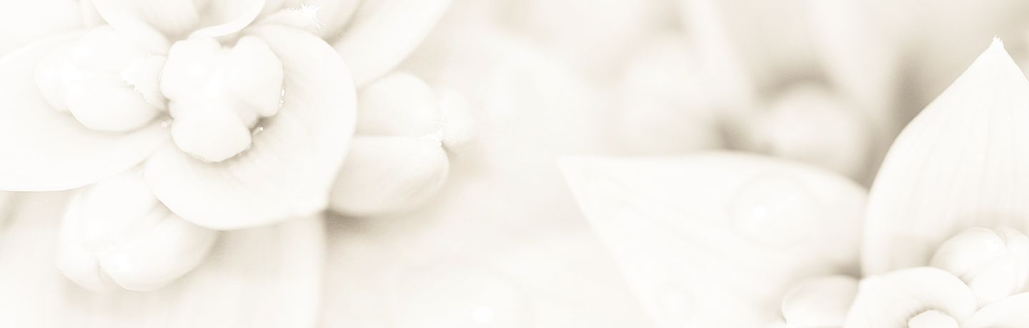 le Vrai Amour Existe